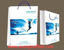 In Túi Giấy - In giỏ xách 07- In Túi Giấy - In giỏ xách 07-