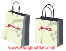 Mẫu túi giấy- Mẫu túi giấy-