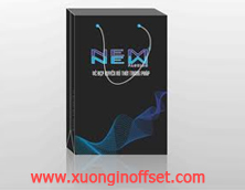 In Túi Giấy - In giỏ xách 05- In Túi Giấy - In giỏ xách 05-