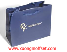 In Túi Giấy - In giỏ xách 10- In Túi Giấy - In giỏ xách 10-